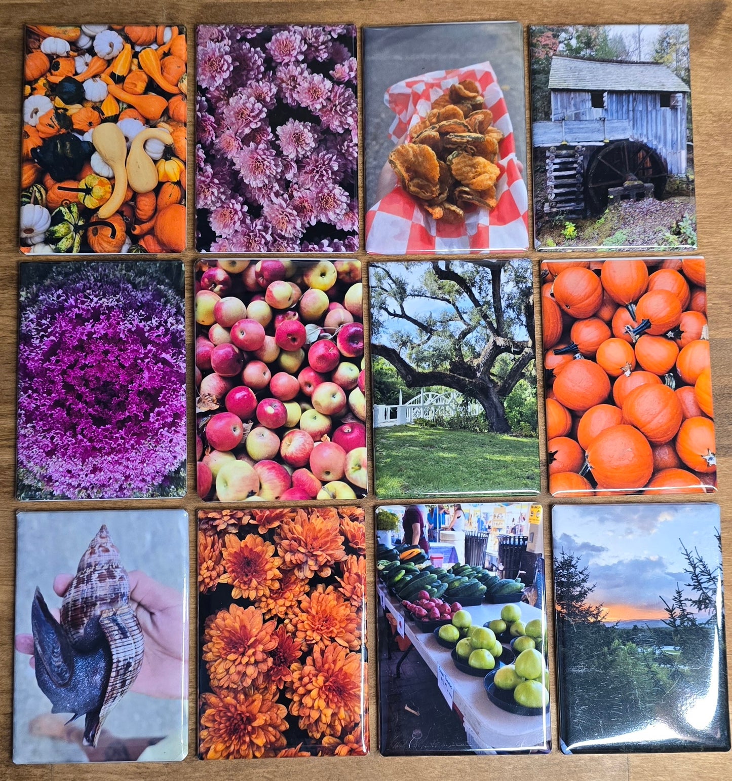 12 Pack Custom Photo Magnets